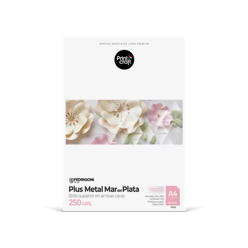 Papel Fedrigoni Plus Metal Mar Del Plata 250 Grs A4 10 Hjs