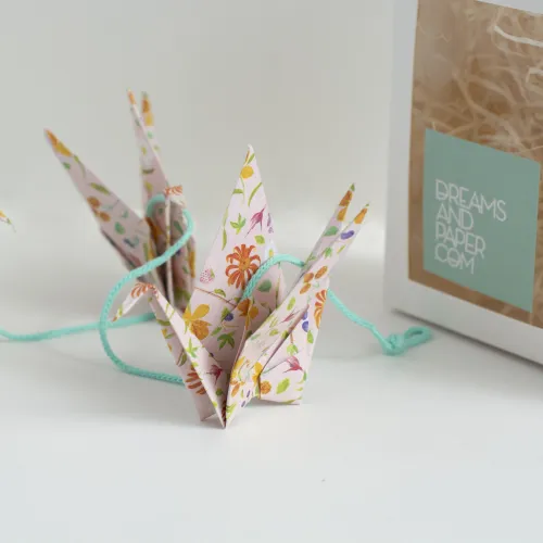 Pack Mix Mil Dreams 15x15 x 25 u.